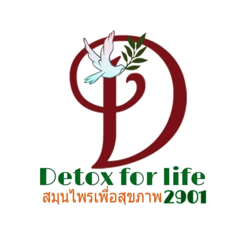 Detox for Life ใส่ใจสุขภาพ